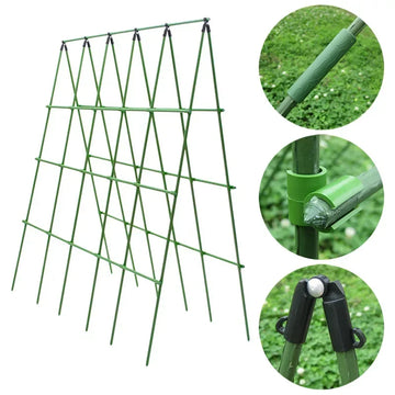 Plant Stakes for Climbing Vines