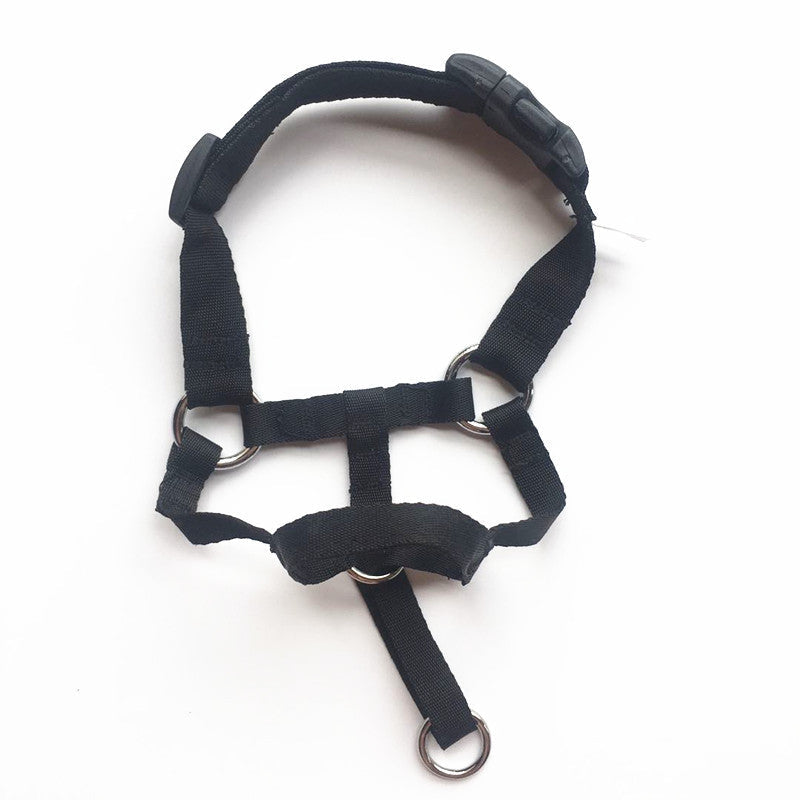Pet Canine Snout Guard Stretchable Chew-proof Mesh Face Shield