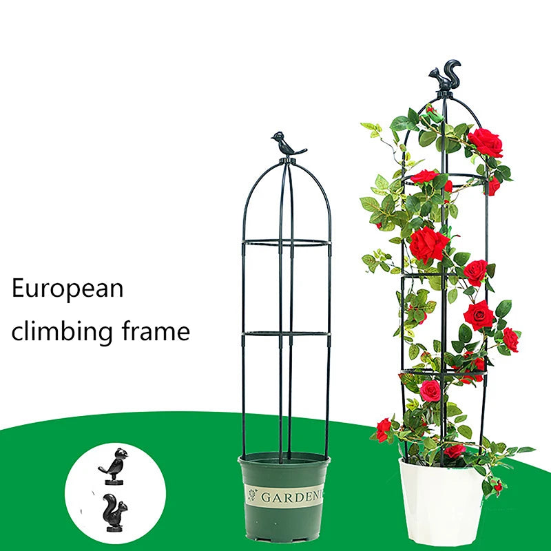 Climbing Plant Trellis