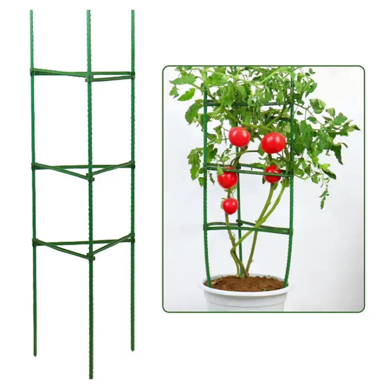 Plant Stakes for Climbing Vines